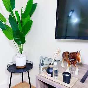 Centre Stylish Flat *